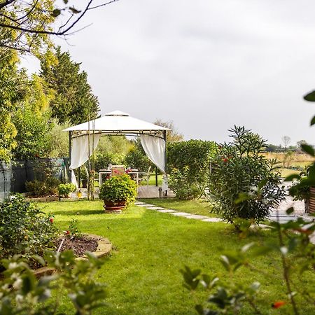 Il Noce Appartamento 2 Misano Adriatico Ngoại thất bức ảnh